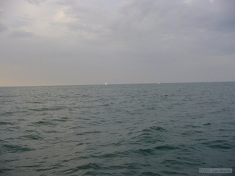 mare2003_146.JPG