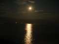 131_3134