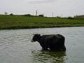 mare2003_002