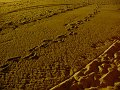 mare2003_013