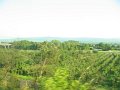 IMG_5557