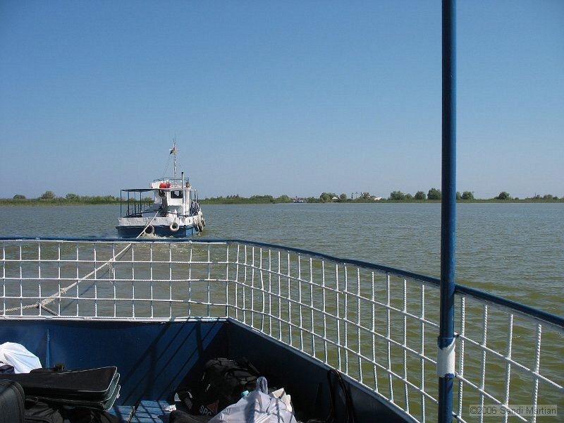 IMG_2368.jpg
