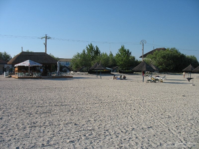 IMG_2397.jpg