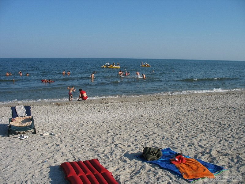 IMG_2398.jpg