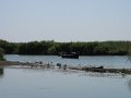 IMG_2358