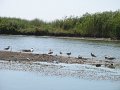 IMG_2360