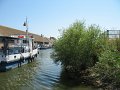 IMG_2362