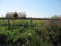 IMG_2363