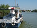 IMG_2374