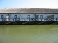 IMG_2381