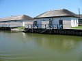 IMG_2384