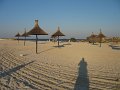 IMG_2399