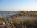 IMG_2401