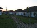 IMG_2421