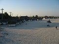 IMG_2445