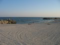 IMG_2446