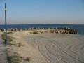 IMG_2447