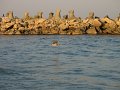 IMG_2458
