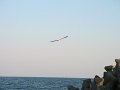 IMG_2459