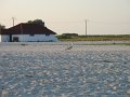 IMG_2461