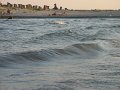 IMG_2462