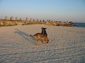 IMG_2464