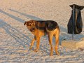 IMG_2465
