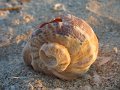 IMG_2469