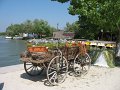 IMG_2485