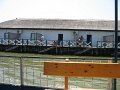 IMG_2489