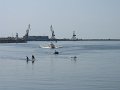IMG_2217