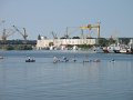 IMG_2218
