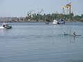 IMG_2219