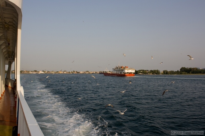 IMG_1919.jpg