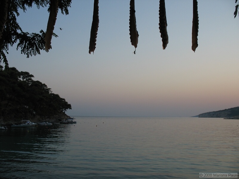 IMG_9651.JPG