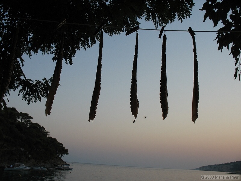 IMG_9652.JPG