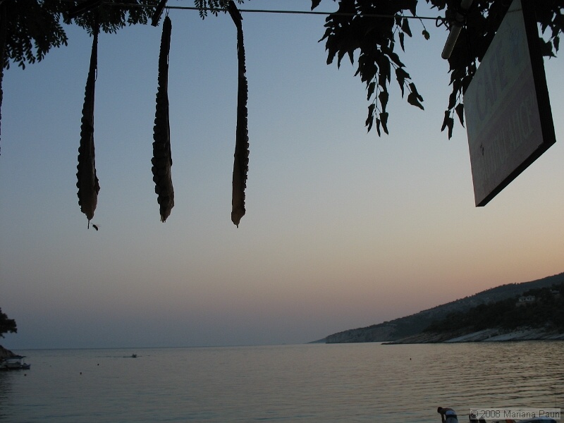 IMG_9657.JPG
