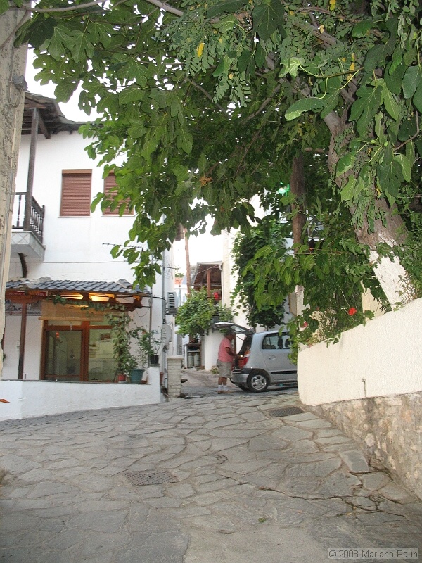 IMG_9668.JPG