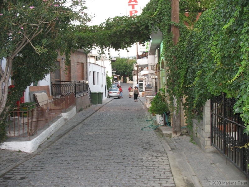 IMG_9675.JPG