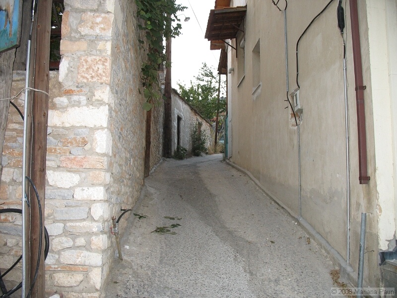 IMG_9676.JPG