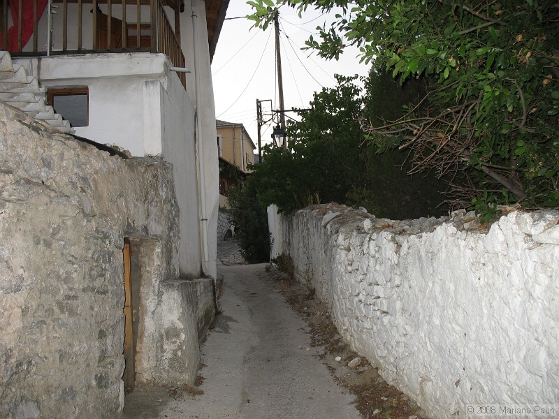 IMG_9694.JPG