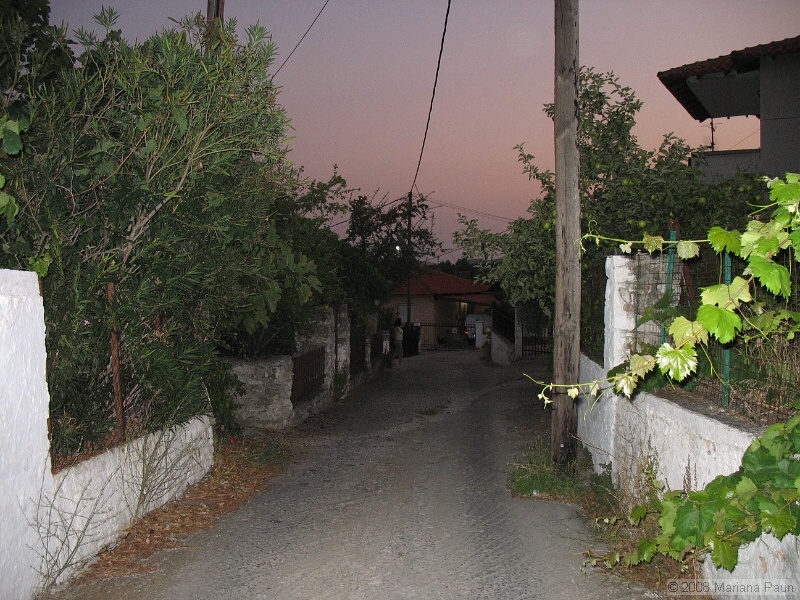 IMG_9708.JPG