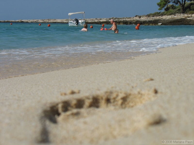 IMG_9732.JPG