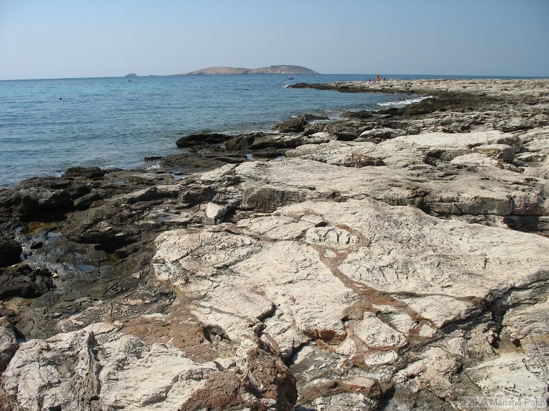 IMG_9744.JPG