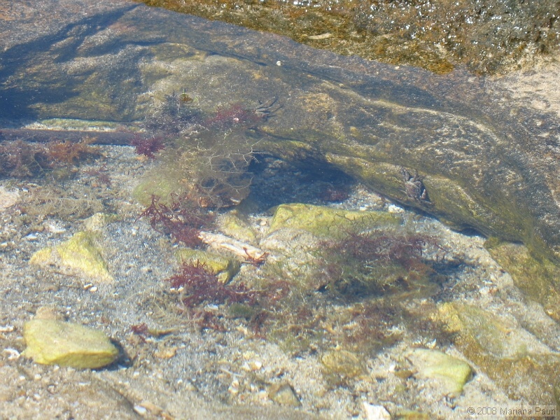 IMG_9749.JPG