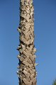 IMG_6803