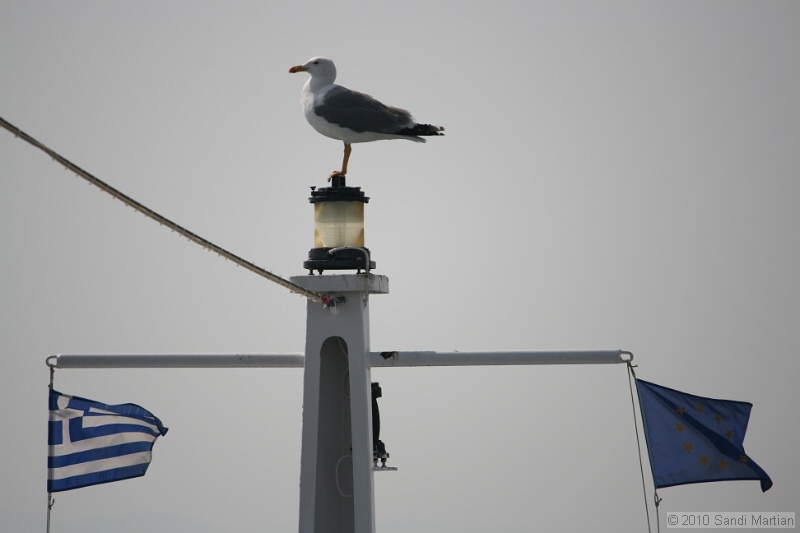 IMG_1143.jpg