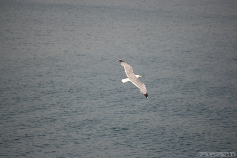 IMG_1149.jpg