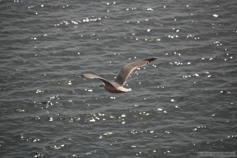 IMG_1153.jpg