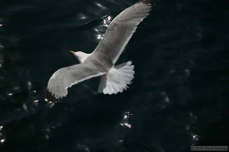 IMG_1154.jpg